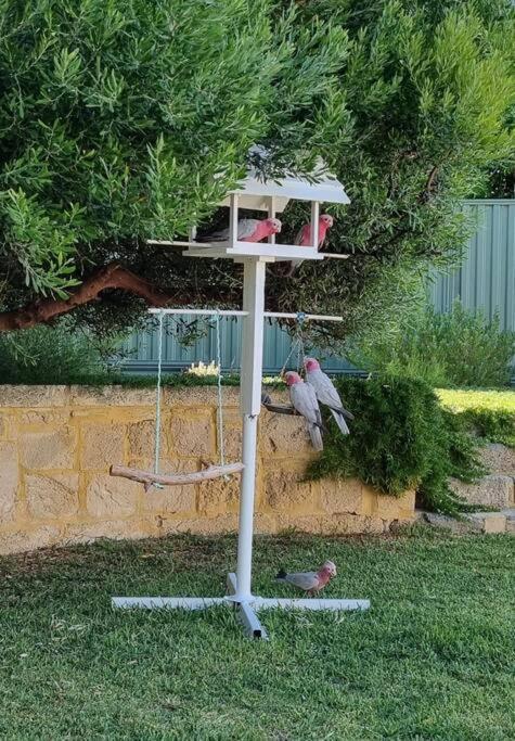 Shabby Chic Shack - 2 Bedroom Beach Cottage Yanchep Exteriér fotografie