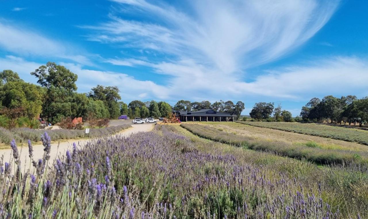 Shabby Chic Shack - 2 Bedroom Beach Cottage Yanchep Exteriér fotografie